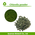 Chlorella Protéine Poudre 90% Nutrition Sportive