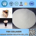 Collagène de poisson en poudre blanche comme additifs alimentaires