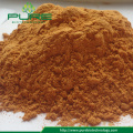 Goji berry herbal extract / Wolfberry Fruit Extract