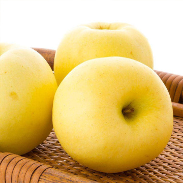 NingXia Fresh Sweet 90 Golden Delicious Low Price