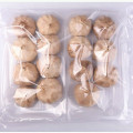 Good for human health Black garlic