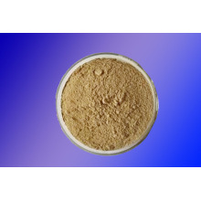 Extrait de baies de l&#39;Aubépine Vitexin Flavones 5% ~ 30% CAS 3681-93-4