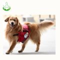 High quality  pet backpack carrier