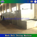 Pleurotus eryngii Laccase Mesh Belt Drying Machine