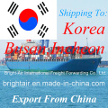 Fracht-Transport-Logistik-Service-Seefracht-Versenden Forwarder von China nach Korea