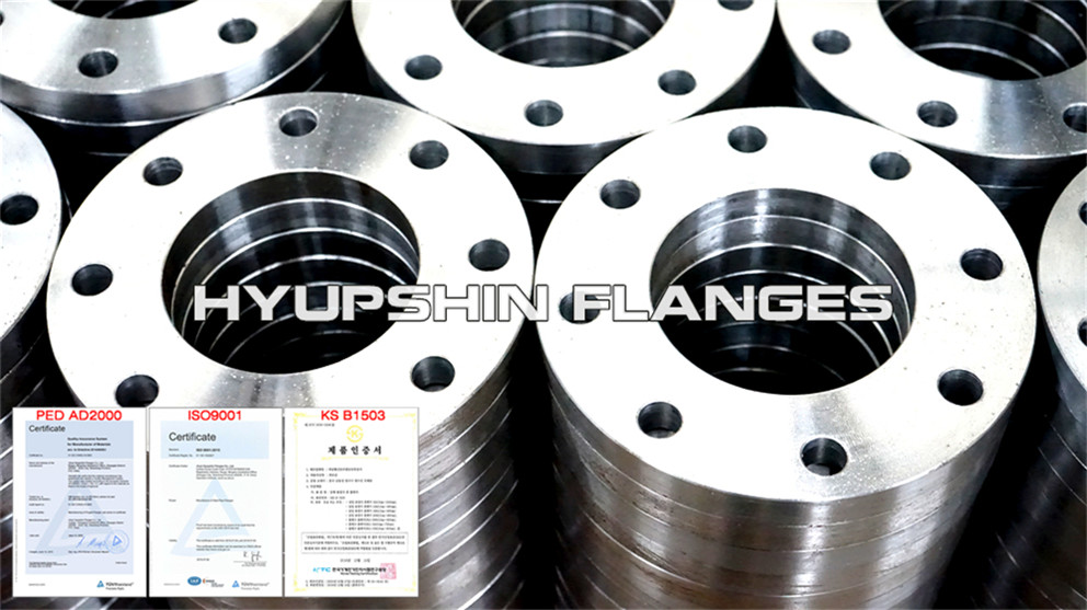 Hyupshin Flanges Slip On Plate Flanges Ff