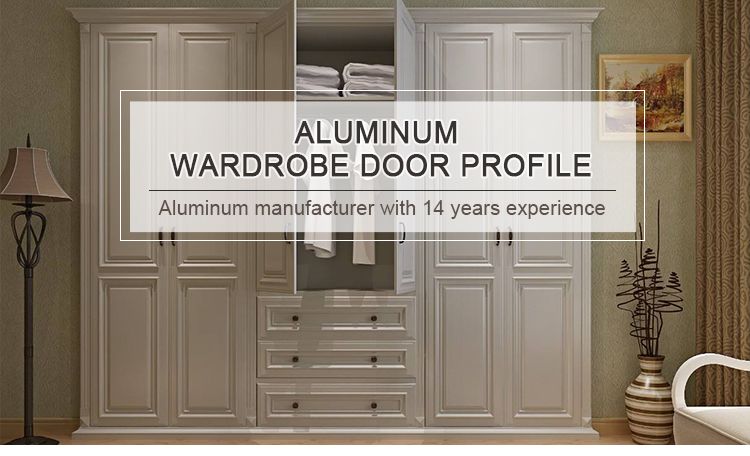 Wardrobe Door Aluminum Profile