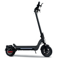 Battery Scooter Elektrischer Roller Erwachsener Motorroller für Erwachsene