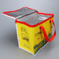 Food Freezer Insulated Cooler Bag