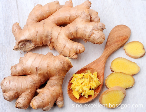 Ginger root