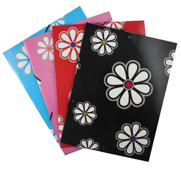 A4 Paper File Folder