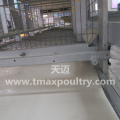 Broiler Cage System for Poultry Farming