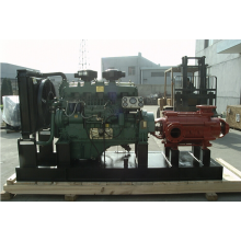 Used for Transforming Honey Oil Diaphragm Pump Drived by Electrical Motor or Diesel Engine