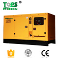 10KW-300KW Ricardo Weifang Engine Diesel Generator