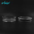 Bacteria Tissue Culture Plate Plastic Petri Dish