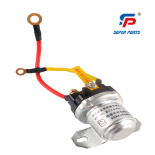 Automotive relay by magnetic circuit system