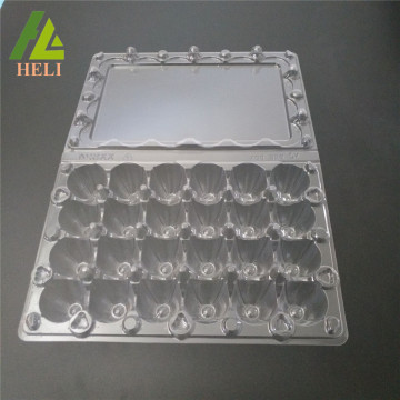 24 Cells Plastic Coturnix Eggs PVC Container