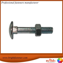 DIN603 Mushroom Head Square Neck Carriage Bolt