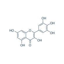 Myricetin 529-44-2