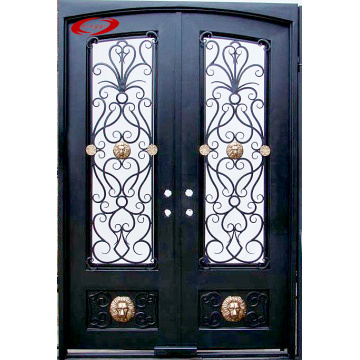 Wrought Iron Double Door with Glass Panels