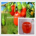 baies de goji rouge de Chine 250/280/350/380/500/750, graines de goji