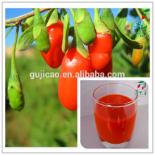 bayas rojas de Goji de China 250/280/350/380/500/750, semillas de wolfberry