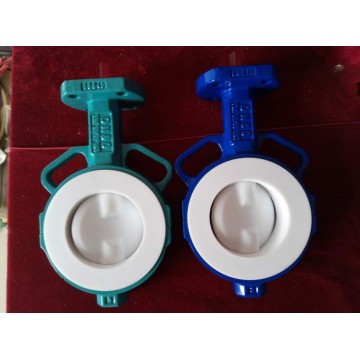 Two Shaft Butterfly Valve with PTFE Lined Disc