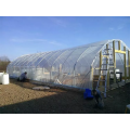 Poly tunnel greenhouse solar hydroponic greenhouse