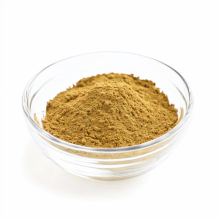 High Quality Astragalus Root Extract Powder
