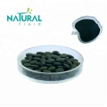 Chlorella Tablet for Health Supplement
