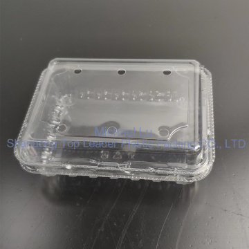 15*20cm Food Storage Pet Material Plastic Container