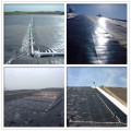 Construction Seepage-Proofing HDPE Geomembrane Price