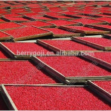 Chinese goji berries/lycium berry/Sun Dried