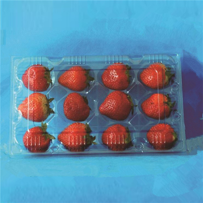 Plastic Strawberry Packaging Container