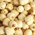 High-quality lotus seeds at reasonable prices