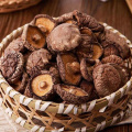 Best Dried Champignon For Health