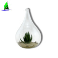 Glass Hanging Planter Hanging Air Plant Terrarium Decorative