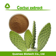 Cactus Caralluma Fimbriata Extract Powder 10:1 Lose Weight