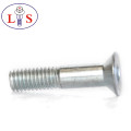 Ss 304 Hexagonal Socket Countersunk Head Bolt