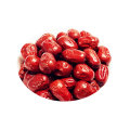 Органические красные даты Jujube Bulk