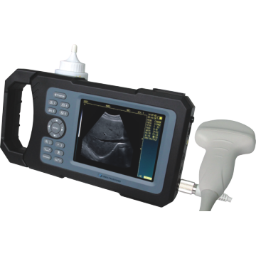 Neuer Handheld Vollendigitaler Ultraschall-Scanner