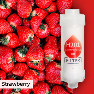 Erdbeer -Vitamin C -Duschfilter Multi