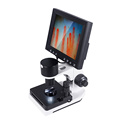 Color LCD monitor microcirculation microscope