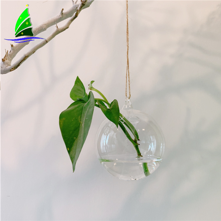 Glasshydroponics Hanging Vase