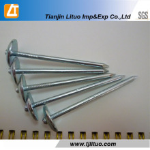 Professioal Fabricante Spiral Shank Roofing Nails