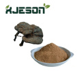 Ganoderma lucidum Extraktpulver