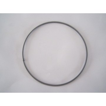 Professional maker of oil seal spring