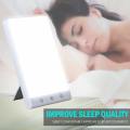 Hot Saling Product Portable Light Therapy Lamp