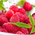Food Flavoring Raspberry Extract Powder For Beverage