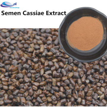 Supply Produit Semen Cassiae Extrait de plante en poudre